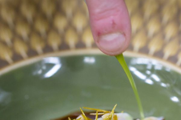 gourmet bedste køge restauranten restaurant spisested