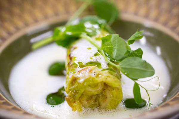 gourmet bedste køge restauranten restaurant spisested