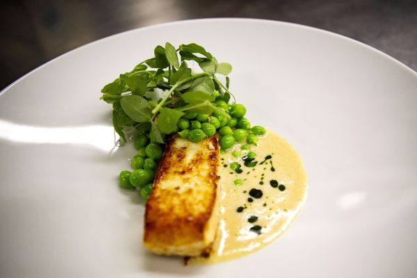 gourmet bedste køge restauranten restaurant spisested
