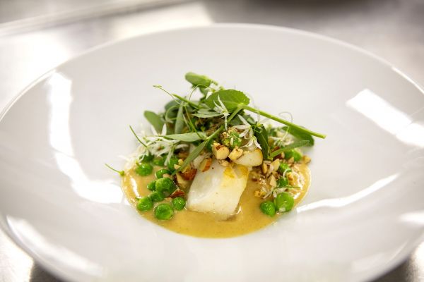gourmet bedste køge restauranten restaurant spisested